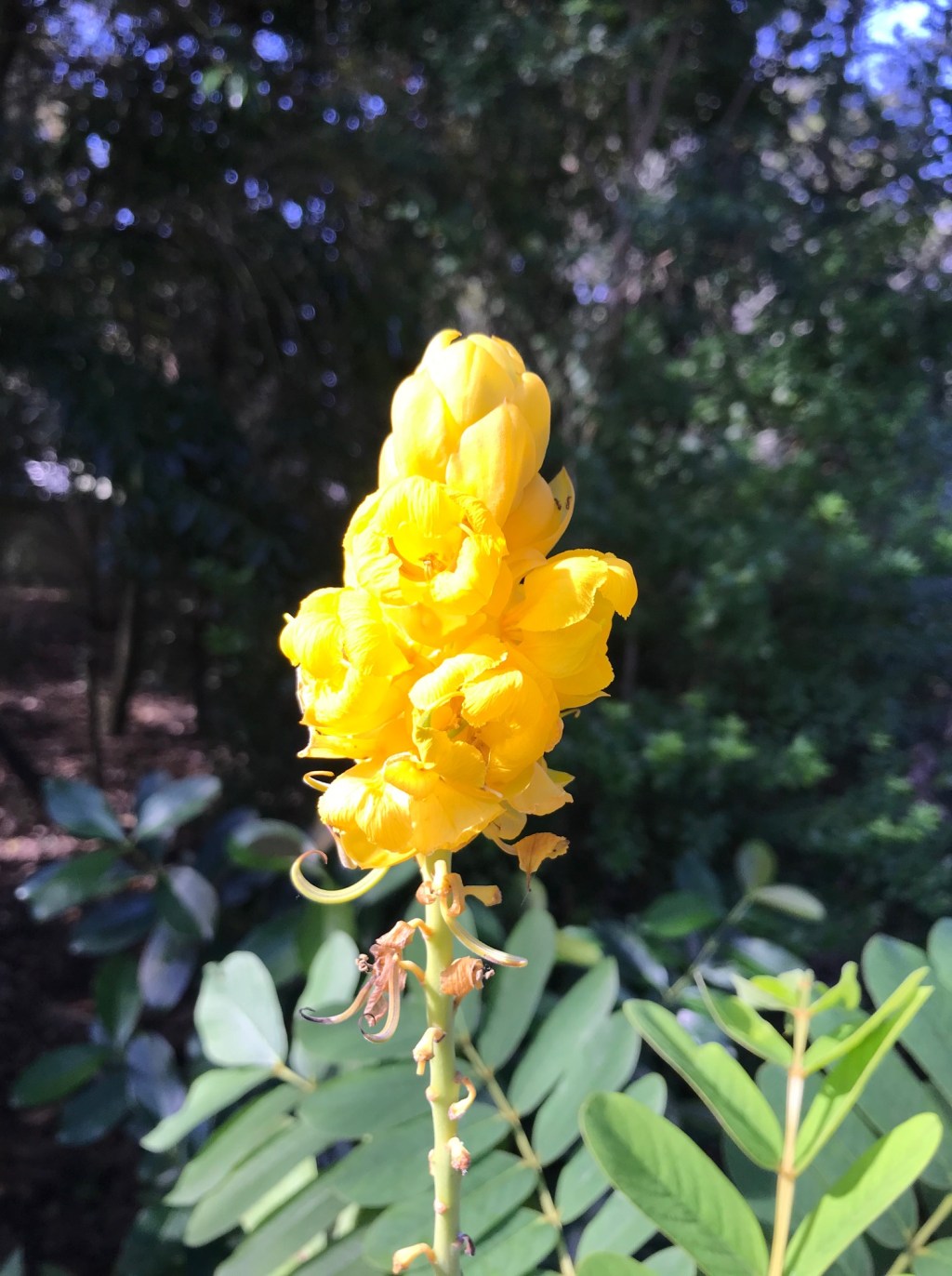 Photo Friday- You Have No&nbsp;Excuse!